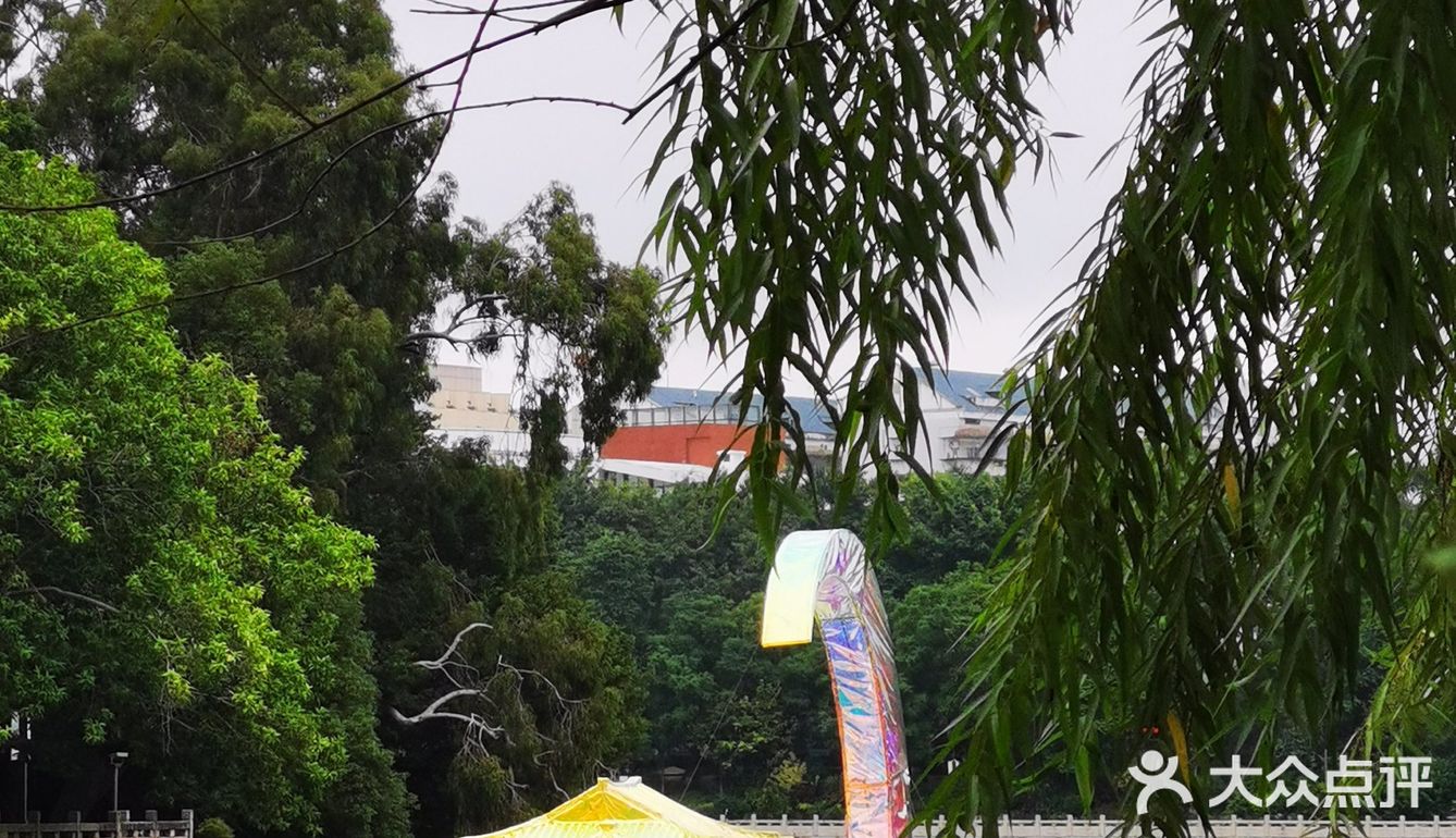 秋日胜春朝。如此绽放之美，怎能不撼动