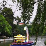 秋日胜春朝。如此绽放之美，怎能不撼动