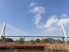 -芒洲湿地公园
