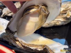 -517烧烤·龙虾·海鲜大排档(万象都荟店)