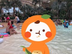 -杭州开元森泊度假乐园