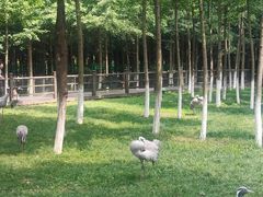 -艾溪湖湿地公园
