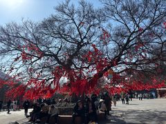 -句容茅山景区