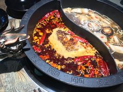 -销魂美蛙鱼头火锅(上海首店)