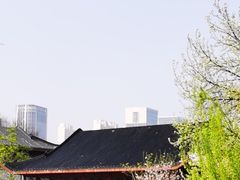 -堤角公园