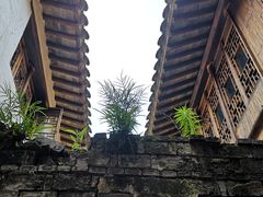 -月栖华明-云间草堂清茶馆(泗泾古镇店)