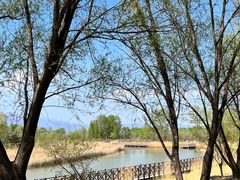 -野鸭湖国家湿地公园