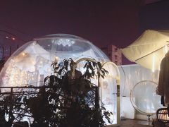 -春树下·院子露台西餐厅(中隐于市店)
