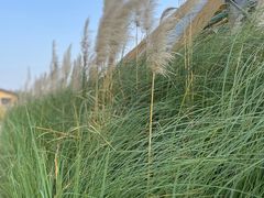 -中国天府农业博览园