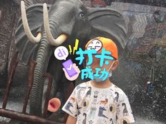 -呀路古热带植物园