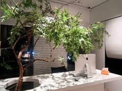 -隅乐胡椒虾·台湾菜·团建(皇岗店)