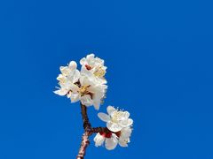 -十三陵水库