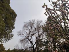 -颐和园