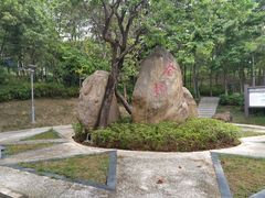 -聚龙山公园