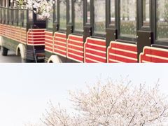 -上海辰山植物园