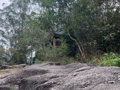 -水濂山森林公园