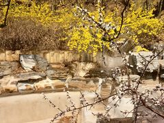 -北京西山国家森林公园