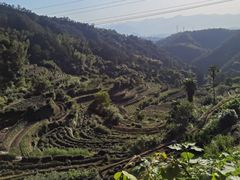 -杨家堂村