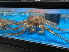 -盒马鲜生(悦峰店)
