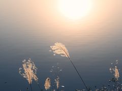 -池州市平天湖风景区