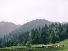 -新疆那拉提国家旅游度假区