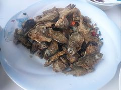 -黄牛肉馆·皖南土菜