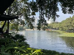 -荔湾湖公园