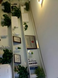 -蕾特恩·专业祛痘国际连锁