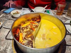 -禄婶鸡煲·打边炉