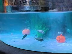 -沈阳海洋探索中心