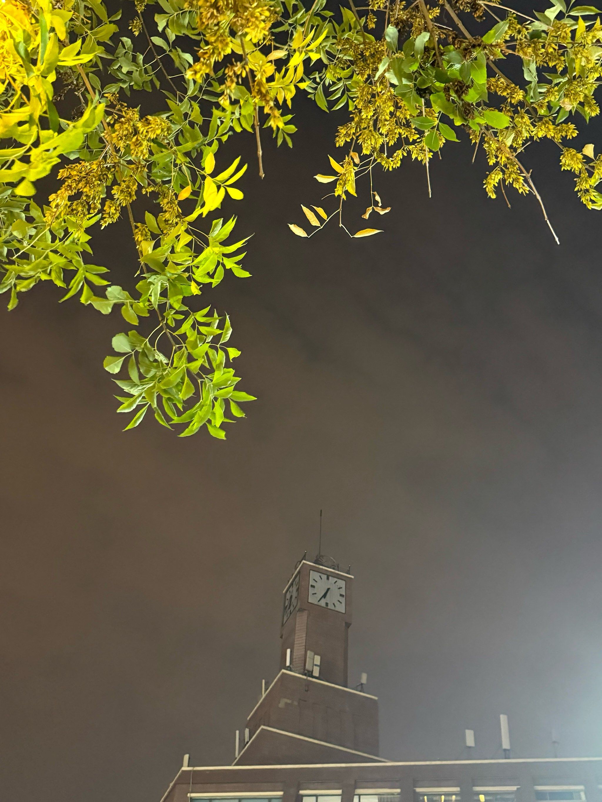 城市夜空的白昼云朵在灯海中游弋