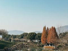 -龙吟山房(青龙山庄店)