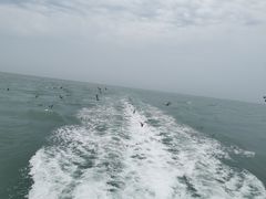 -海驴岛(荣成市)