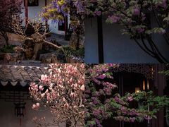 -山塘街