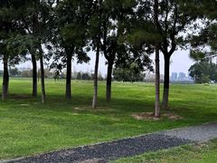 -汉长安城未央宫国家考古遗址公园