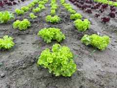 -中国天府农业博览园