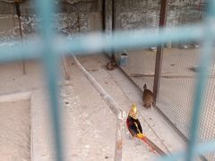 -森林公园(尖草坪区)