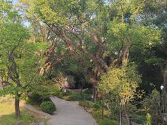 -乌山风景区