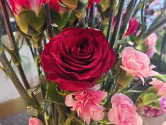 -铭洋专业采耳(田子坊店)