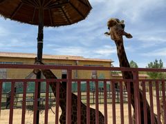 -鄂尔多斯野生动物园