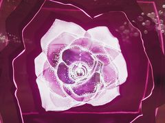 -新世界大丸百货