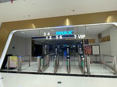-大世界影城(无锡江南大悦城IMAX激光店)