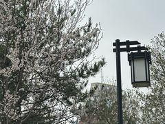 -迎泽公园