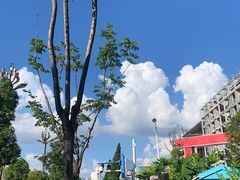 -菌海森林·非遗野生菌火锅(西山区滇池路摩根道店)