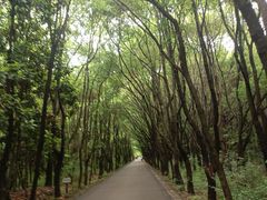 -同里国家湿地公园