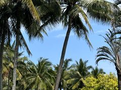 -海南清水湾莱佛士酒店