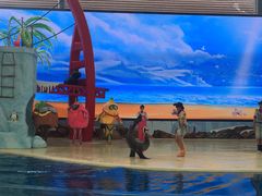 -三亚海昌梦幻海洋不夜城