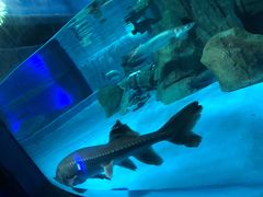 -常州海昌海洋探索馆