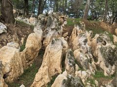 -秦岭天竺山生态文化旅游景区