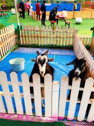 -萌宠亲子动物乐园(槐房万达店)